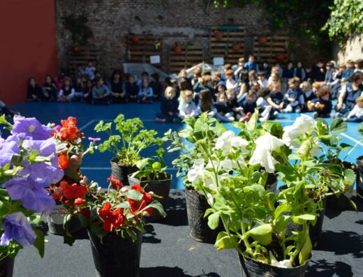 Colegio Aletheia - Imagen destacada