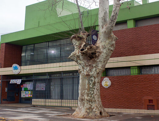 Jardín de Infantes Nucleado B DE 14 (De la Escuela Nº 21 DE 14) - Imagen 1