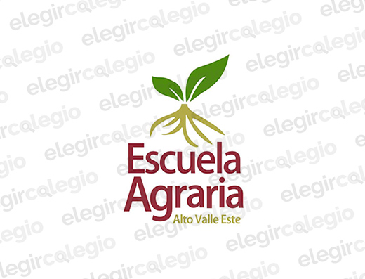 Instituto Alto Valle Este Escuela Agraria - Logo Rectangular