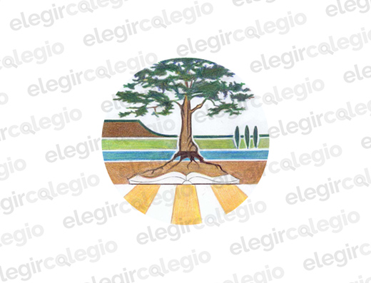 Instituto Aliwen - Logo Rectangular