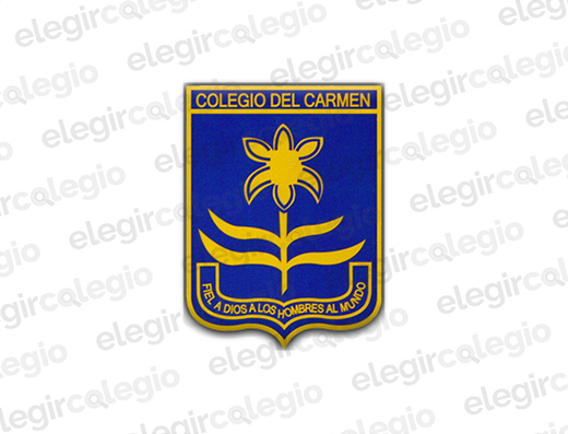 Instituto del Carmen - Logo Rectangular