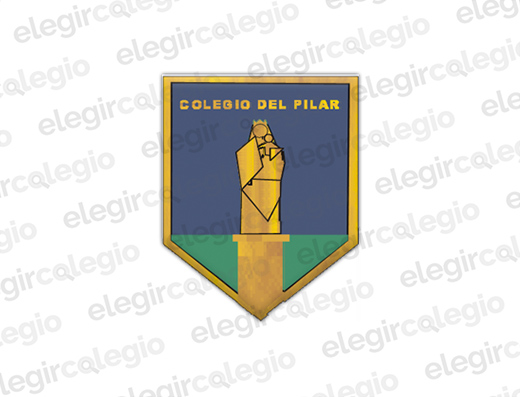 Instituto Nuestra Señora del Pilar - Logo Rectangular