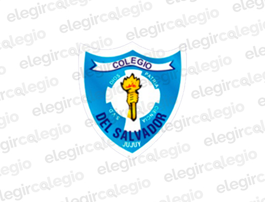 Colegio Del Salvador - Logo Rectangular