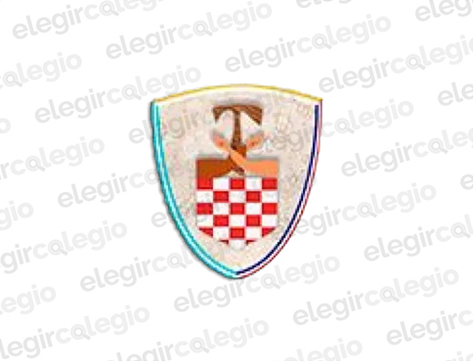 Instituto Cardenal Stepinac - Logo Rectangular