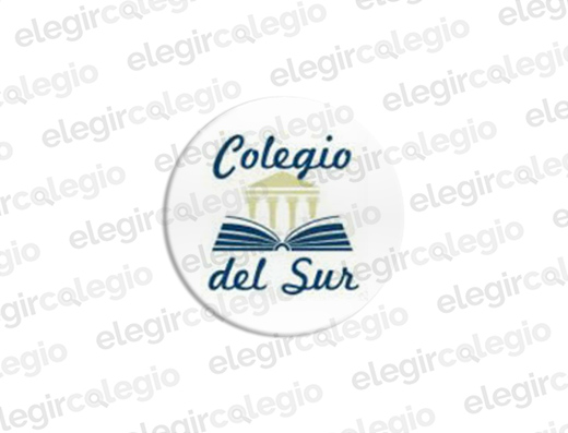 Colegio Del Sur - Logo Rectangular