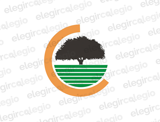 Colegio Los Olivos - Logo Rectangular