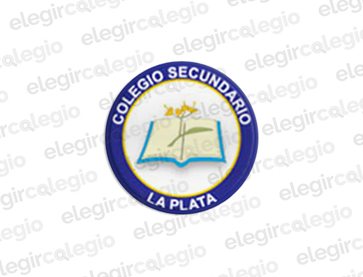 Colegio Nueva Escuela Argentina - Sede Norte - Logo Rectangular