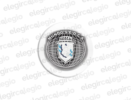 Instituto Modelo Educacional San Luis - SEOCA - Logo Rectangular