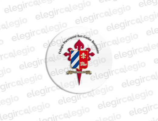 Instituto San Carlos Borromeo - Logo Rectangular