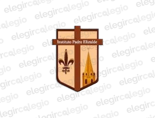 Instituto Padre Agustín Elizalde - Logo Rectangular